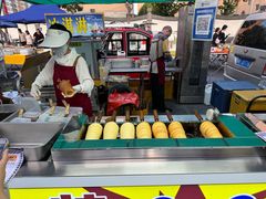 -廊坊固安福朋喜来登酒店