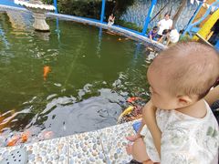 -南湖梦幻岛