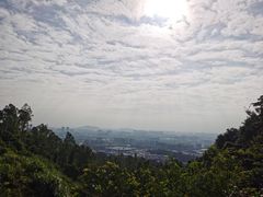-火炉山森林公园