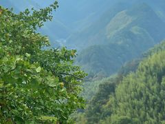 -太湖源风景区