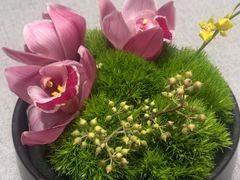 -宫燕府·京菜·烤鸭·淮扬菜(王府中心店)