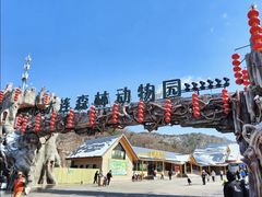 -大连森林动物园