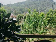 -玫瑰庄园·自助烧烤·烤全羊·团建拓展(龙泉山店)