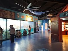 -海合安武汉极地海洋公园