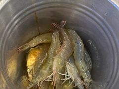 -仙螺岛海鲜自助餐厅(总店)
