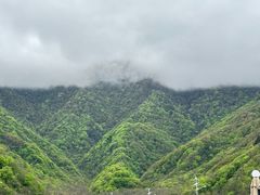 -大九湖