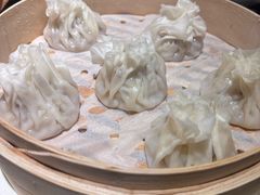 -老阿妈蒙古村·蒙古包·草原文化·歌舞表演(老君堂店)