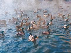-水磨沟公园