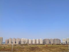 -洋湖国家湿地公园