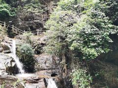 -鼎湖山风景区