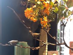-Dragonfly悠庭·按摩Spa(新乐路店)