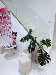 -安那般那皮肤年轻化ANAPANA