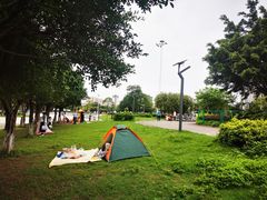 -飞来湖湿地公园