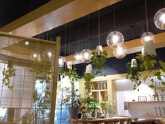 -柴务处·柴犬主题狗咖