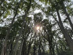 -钟山体育运动公园