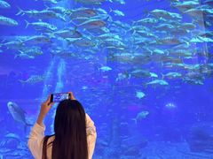 -三亚福朋喜来登酒店·大堂吧