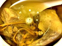 石斛炖老鸽-新光酒家·河豚·海鲜·蟹料理(浦东店)
