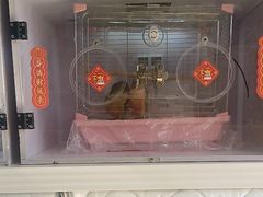 -西安市长乐公园