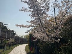 -南京信息职业技术学院