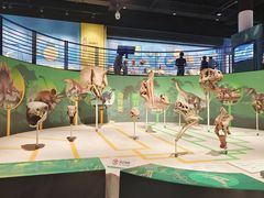 -国家自然博物馆