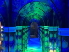 -天津梵高星空艺术馆(天河城旗舰店)