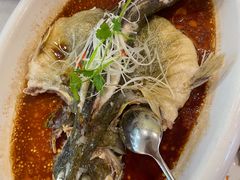 清蒸桂鱼-满堂·烤鸭店·北京菜(鼓楼店)