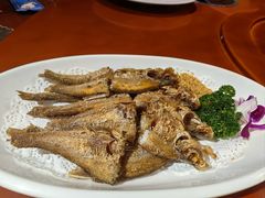 -海拉尔蒙古包(房山长阳总店)
