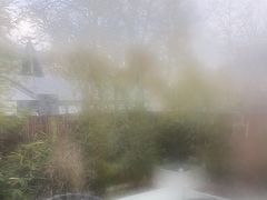 -羊门客在·烤盐池滩羊·川菜