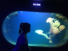 -南昌海洋公园
