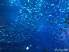 -亚特兰蒂斯•OSSIANO奥西亚诺海底餐厅