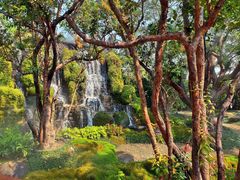 -Chom Cafe and Restaurant