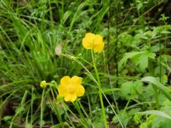 -崇阳三特浪口温泉