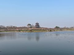 -上海海湾国家森林公园