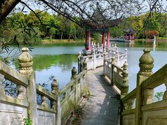 -青龙山国家森林公园