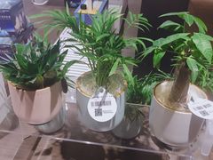-光海书局(南京东路第一百货店)