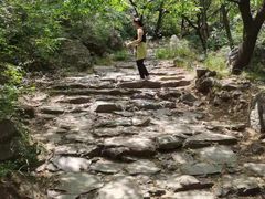 -阳台山自然风景区