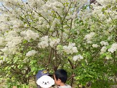-玲珑塔公园