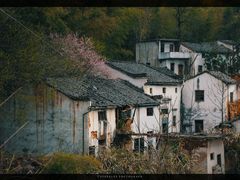 -石潭村