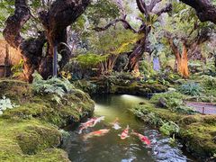 -Chom Cafe and Restaurant