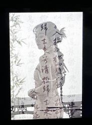 -Dina迪纳摄影(梅州品牌旗舰店)