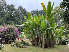-中国科学院西双版纳热带植物园
