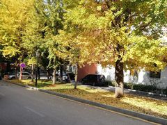 -南京特殊教育师范学院(燕子矶校区)