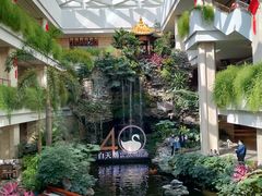-白天鹅宾馆·流浮阁咖啡厅