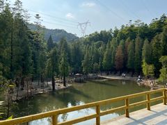 -广州市帽峰山景区
