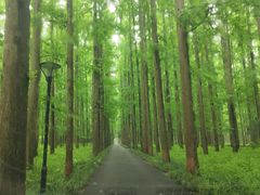 -上海怡沁园度假酒店