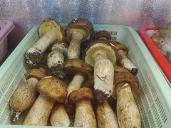-菌海森林·非遗野生菌火锅(西山区滇池路摩根道店)