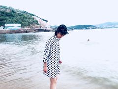 -枸杞岛