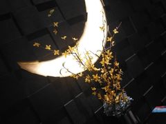 -月下料理(楷林IFC店)