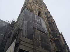 -斯蒂芬主教座堂(Stephansdom)