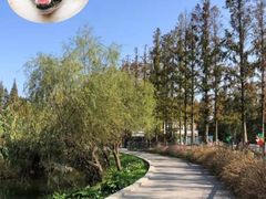 -前小桔亲子创意农场·草莓采摘·露营烧烤